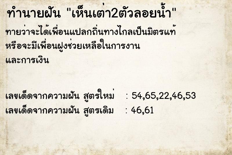 ทำนายฝันเห็นเต่า2ตัวลอยน้ำ ทำนายฝันทำนายฝันเห็นเต่า2ตัวลอยน้ำ