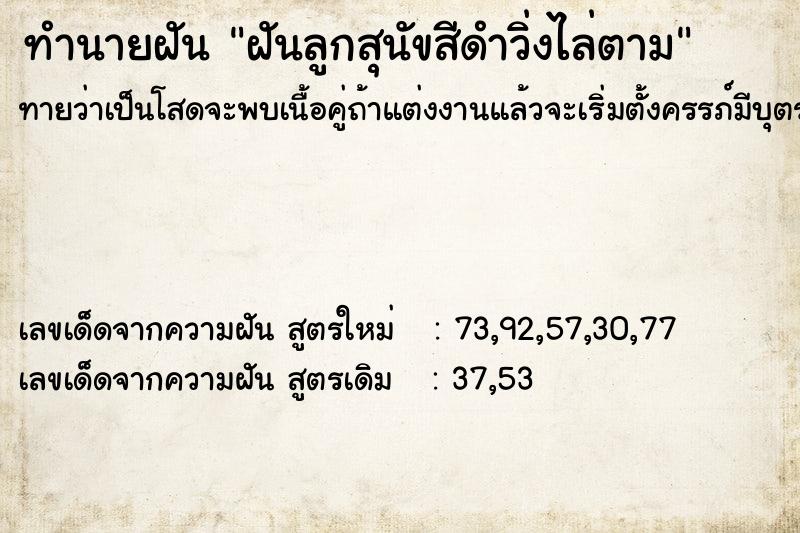 ทำนายฝันฝันลูกสุนัขสีดำวิ่งไล่ตาม ทำนายฝันทำนายฝันฝันลูกสุนัขสีดำวิ่งไล่ตาม