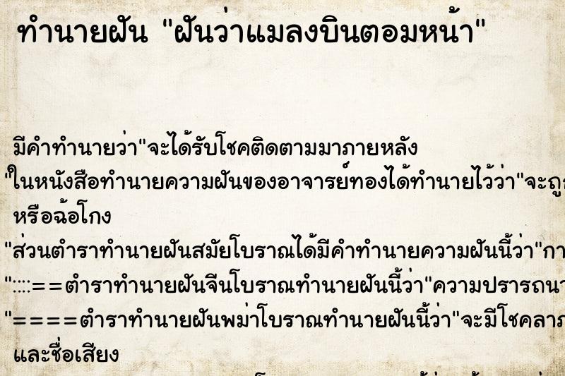 ทำนายฝัน ฝันว่าแมลงบินตอมหน้า ทำนายฝัน ฝันว่าแมลงบินตอมหน้า
