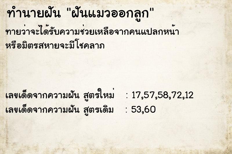 ทำนายฝัน ฝันแมวออกลูก ตำราโบราณ แม่นที่สุดในโลก