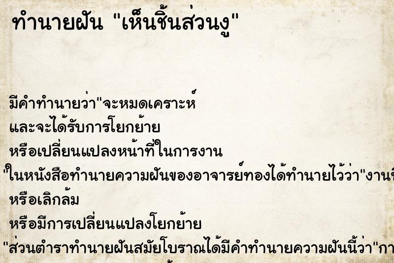 ทำนายฝัน เห็นชิ้นส่วนงู ทำนายฝัน เห็นชิ้นส่วนงู