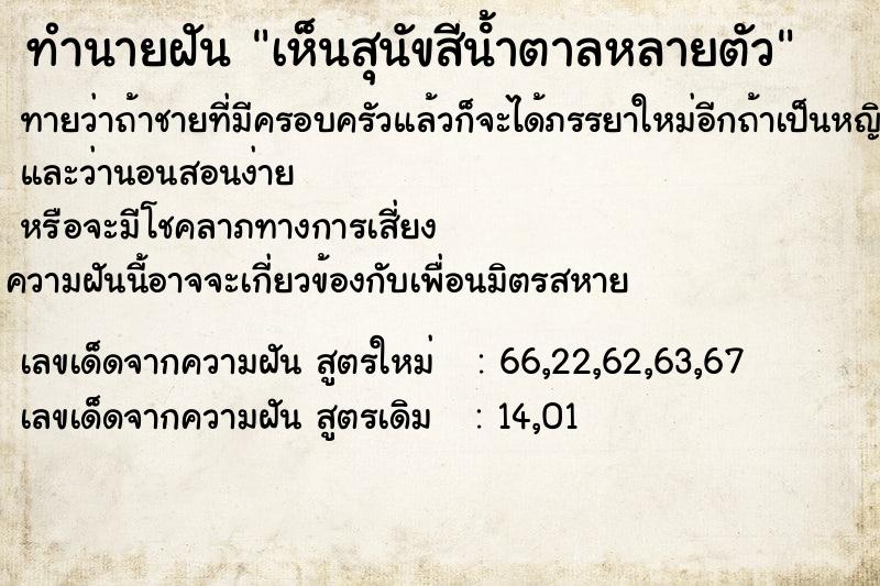 ทำนายฝันทำนายฝันเห็นสุนัขสีน้ําตาลหลายตัว