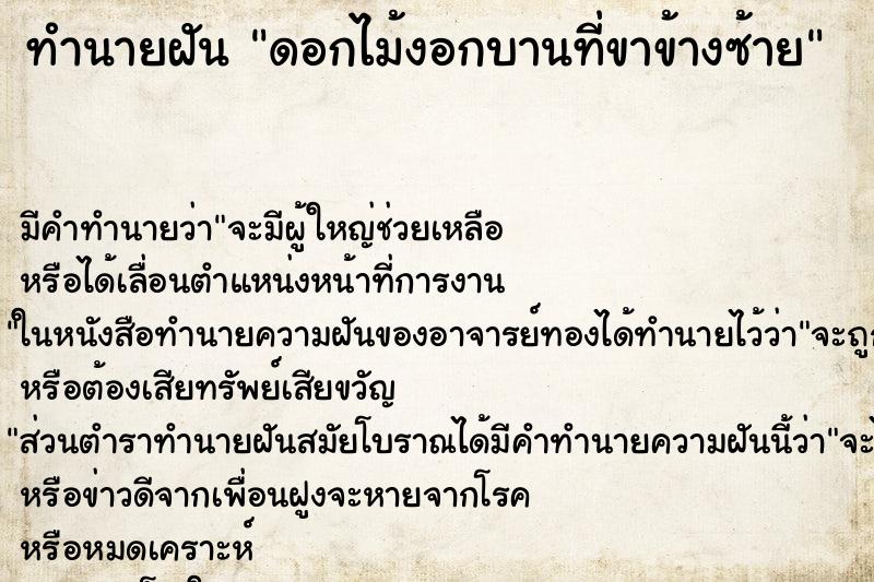 ทำนายฝันดอกไม้งอกบานที่ขาข้างซ้าย ทำนายฝันทำนายฝันดอกไม้งอกบานที่ขาข้างซ้าย