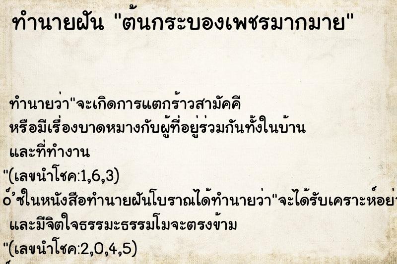 ทำนายฝัน ต้นกระบองเพชรมากมาย
