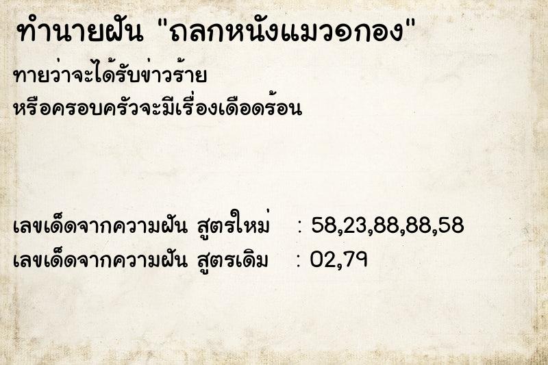 ทำนายฝันถลกหนังแมว๑กอง ทำนายฝันทำนายฝันถลกหนังแมว๑กอง