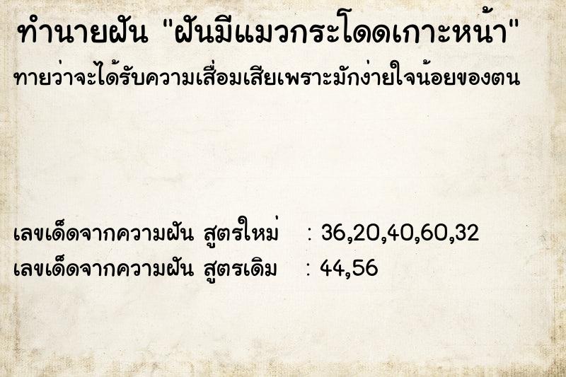 ทำนายฝันฝันมีแมวกระโดดเกาะหน้า ทำนายฝันทำนายฝันฝันมีแมวกระโดดเกาะหน้า