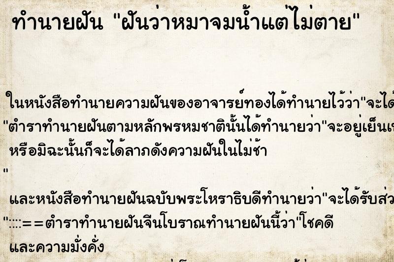 ทำนายฝันฝันว่าหมาจมน้ำแต่ไม่ตาย ทำนายฝันทำนายฝันฝันว่าหมาจมน้ำแต่ไม่ตาย