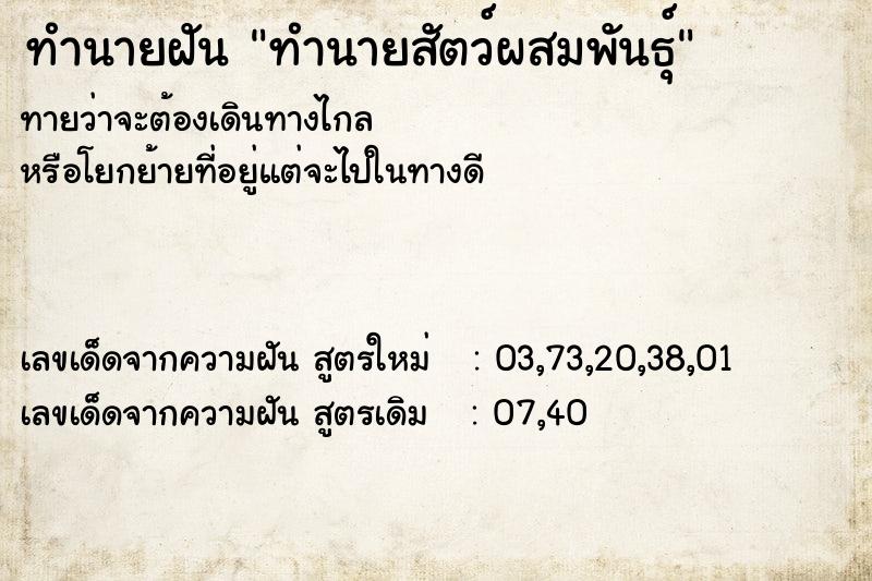 ทำนายฝัน ทำนายสัตว์ผสมพันธุ์ ทำนายฝัน ทำนายสัตว์ผสมพันธุ์