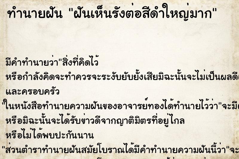 ทำนายฝันฝันเห็นรังต่อสีดำใหญ่มาก ทำนายฝันทำนายฝันฝันเห็นรังต่อสีดำใหญ่มาก
