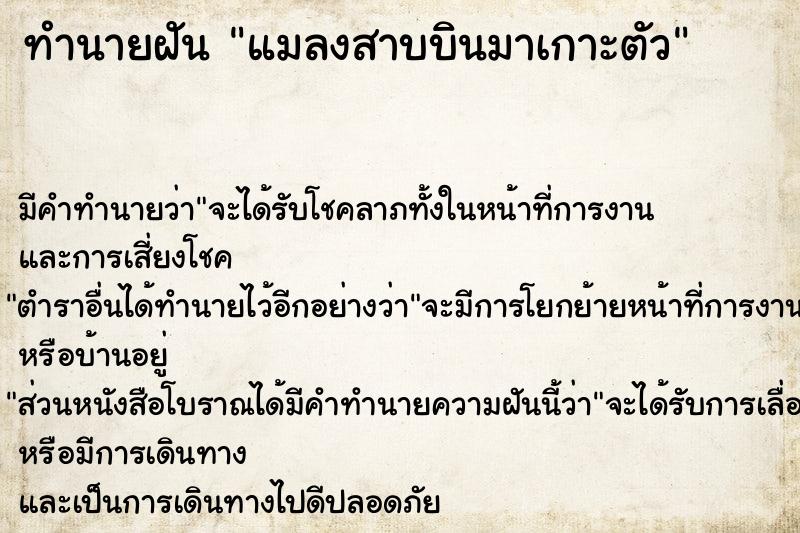 ทำนายฝัน แมลงสาบบินมาเกาะตัว