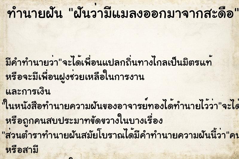 ทำนายฝันทำนายฝันฝันว่ามีแมลงออกมาจากสะดือ