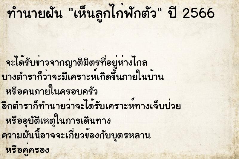 ทำนายฝันเห็นลูกไก่ฟักตัว ทำนายฝันทำนายฝันเห็นลูกไก่ฟักตัว