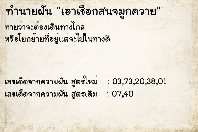 ทำนายฝันทำนายฝันเอาเชือกสนจมูกควาย