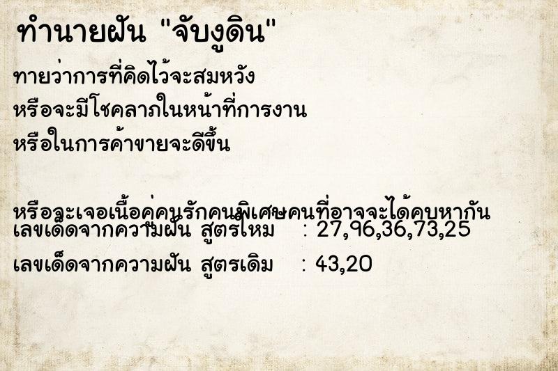 ทำนายฝันจับงูดิน ทำนายฝันทำนายฝันจับงูดิน