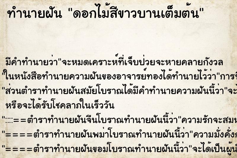ทำนายฝัน ดอกไม้สีขาวบานเต็มต้น ทำนายฝัน ดอกไม้สีขาวบานเต็มต้น