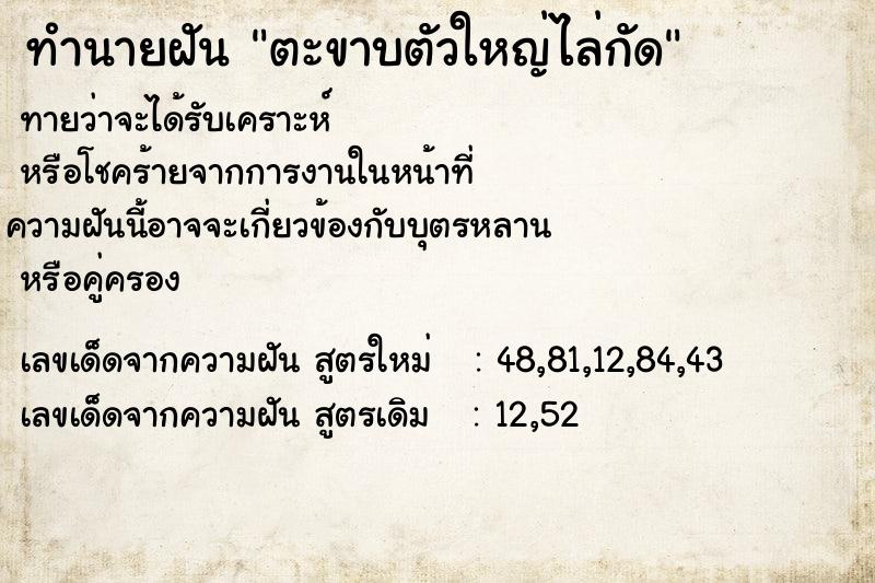 ทำนายฝัน ตะขาบตัวใหญ่ไล่กัด ทำนายฝัน ตะขาบตัวใหญ่ไล่กัด