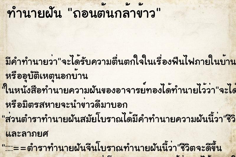 ทำนายฝันถอนต้นกล้าข้าว ทำนายฝันทำนายฝันถอนต้นกล้าข้าว