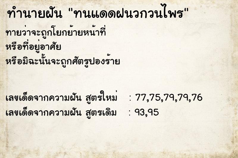 ทำนายฝัน ทนแดดฝนวกวนไพร ทำนายฝัน ทนแดดฝนวกวนไพร