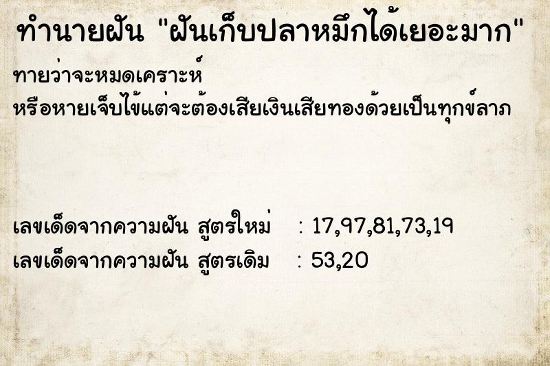 ทำนายฝันทำนายฝันฝันเก็บปลาหมึกได้เยอะมาก