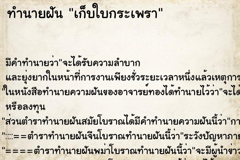 ทำนายฝัน เก็บใบกระเพรา แม่นๆ ฟรี ด้วยตำราหนังสือทำนายฝันโบราณ ทำนายฝันเก็บใบกระเพรา