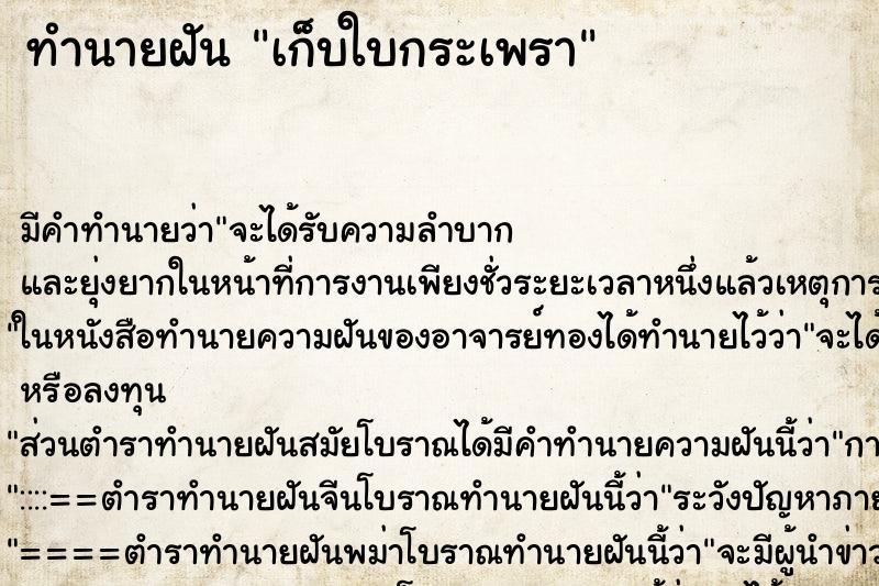 ทำนายฝัน เก็บใบกระเพรา ตำราโบราณ แม่นที่สุดในโลก