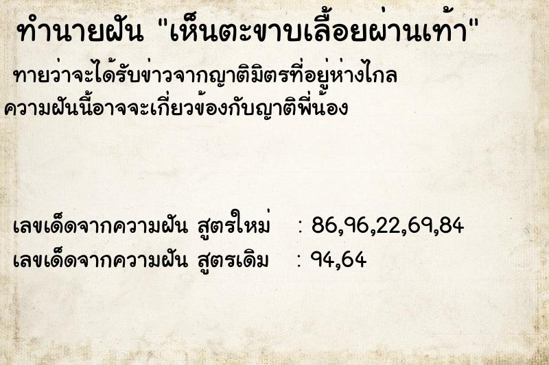 ทำนายฝันทำนายฝันเห็นตะขาบเลื้อยผ่านเท้า