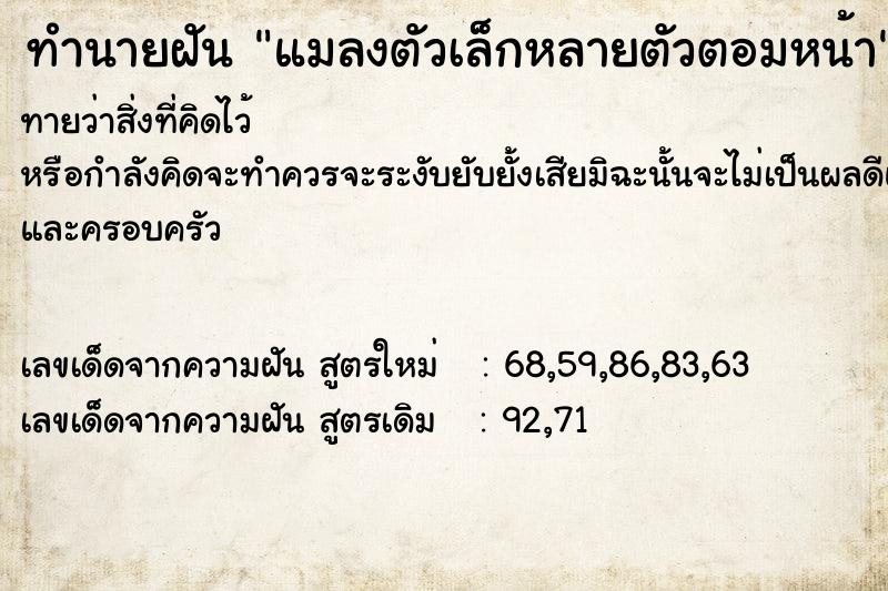 ทำนายฝันแมลงตัวเล็กหลายตัวตอมหน้า ทำนายฝันทำนายฝันแมลงตัวเล็กหลายตัวตอมหน้า