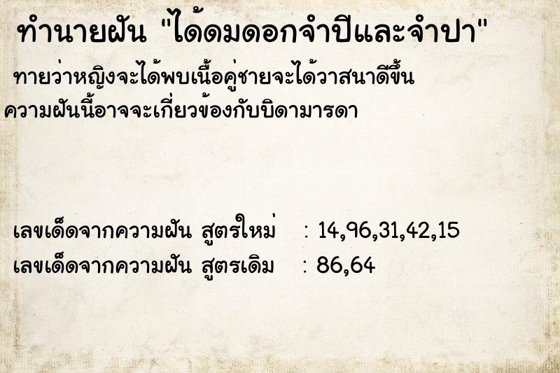 ทำนายฝัน ได้ดมดอกจำปีและจำปา ทำนายฝัน ได้ดมดอกจำปีและจำปา