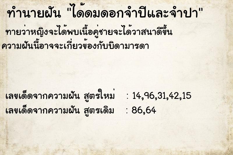 ทำนายฝัน ได้ดมดอกจำปีและจำปา ตำราโบราณ แม่นที่สุดในโลก