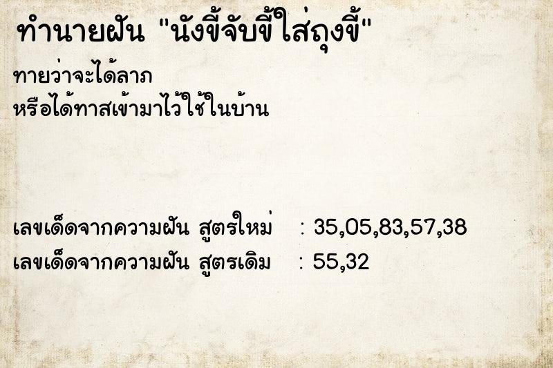 ทำนายฝัน นังขี้จับขี้ใส่ถุงขี้