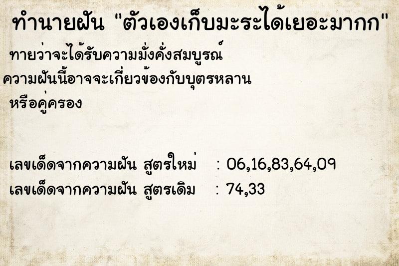 ทำนายฝันทำนายฝันตัวเองเก็บมะระได้เยอะมากก