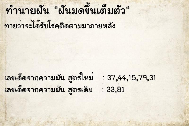 ทำนายฝันฝันมดขึ้นเต็มตัว ทำนายฝันทำนายฝันฝันมดขึ้นเต็มตัว