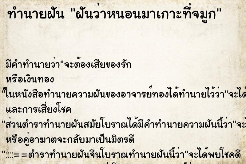 ทำนายฝันทำนายฝันฝันว่าหนอนมาเกาะที่จมูก