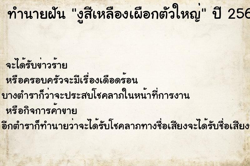 ทำนายฝันงูสีเหลืองเผือกตัวใหญ่ ทำนายฝันทำนายฝันงูสีเหลืองเผือกตัวใหญ่