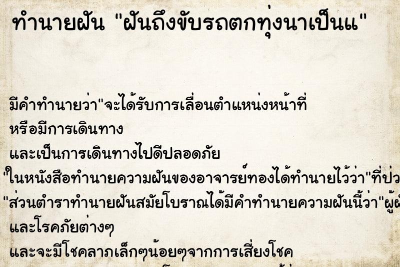 ทำนายฝัน ฝันถึงขับรถตกทุ่งนาเป็นแ ทำนายฝัน ฝันถึงขับรถตกทุ่งนาเป็นแ