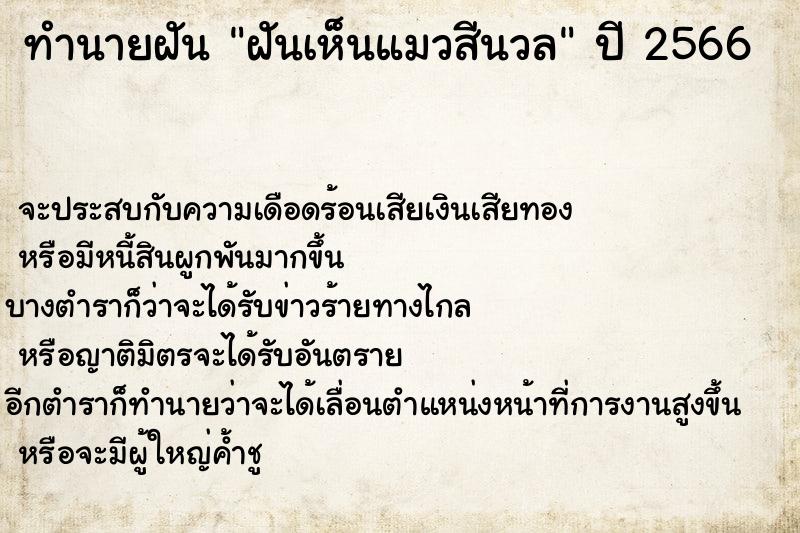 ทำนายฝันฝันเห็นแมวสีนวล ทำนายฝันทำนายฝันฝันเห็นแมวสีนวล