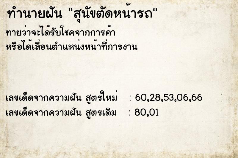 ทำนายฝันสุนัขตัดหน้ารถ ทำนายฝันทำนายฝันสุนัขตัดหน้ารถ