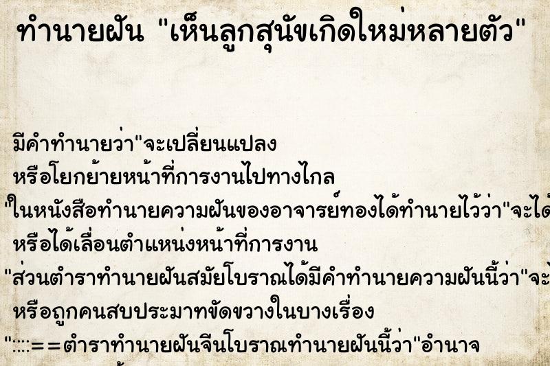 ทำนายฝัน เห็นลูกสุนัขเกิดใหม่หลายตัว ทำนายฝัน เห็นลูกสุนัขเกิดใหม่หลายตัว