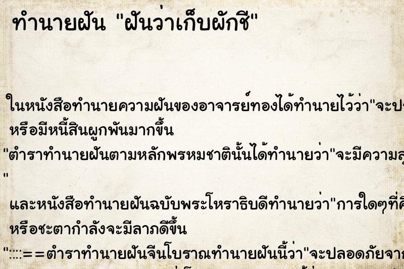 ทำนายฝันทำนายฝันฝันว่าเก็บผักชี