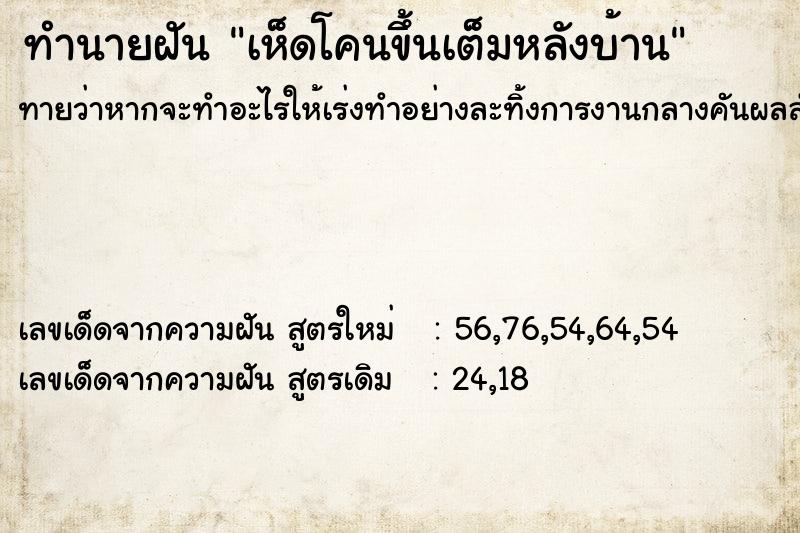 ทำนายฝันทำนายฝันเห็ดโคนขึ้นเต็มหลังบ้าน