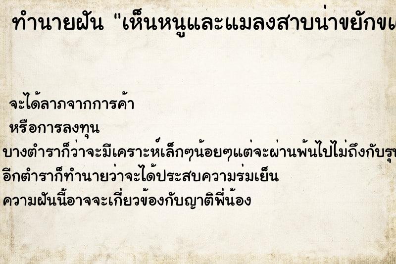 ทำนายฝัน เห็นหนูและแมลงสาบน่าขยักขแยงมาก ทำนายฝัน เห็นหนูและแมลงสาบน่าขยักขแยงมาก