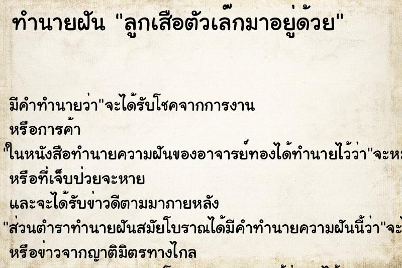 ทำนายฝันลูกเสือตัวเล๊กมาอยู่ด้วย ทำนายฝันทำนายฝันลูกเสือตัวเล๊กมาอยู่ด้วย