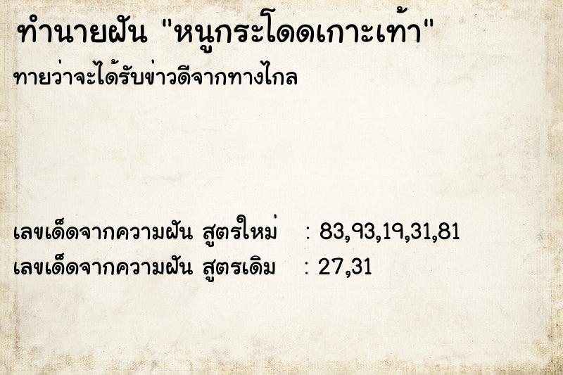 ทำนายฝันหนูกระโดดเกาะเท้า ทำนายฝันทำนายฝันหนูกระโดดเกาะเท้า