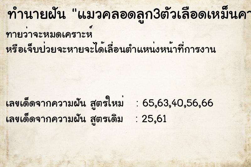 ทำนายฝันทำนายฝันแมวคลอดลูก3ตัวเลือดเหม็นคาวมาก