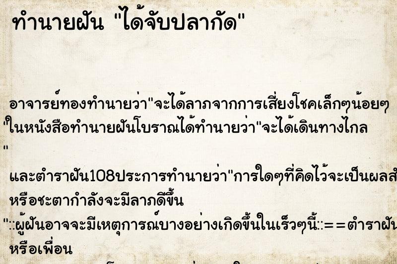 ทำนายฝัน ได้จับปลากัด ทำนายฝัน ได้จับปลากัด