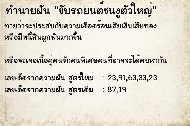ทำนายฝัน ขับรถยนต์ชนงูตัวใหญ่