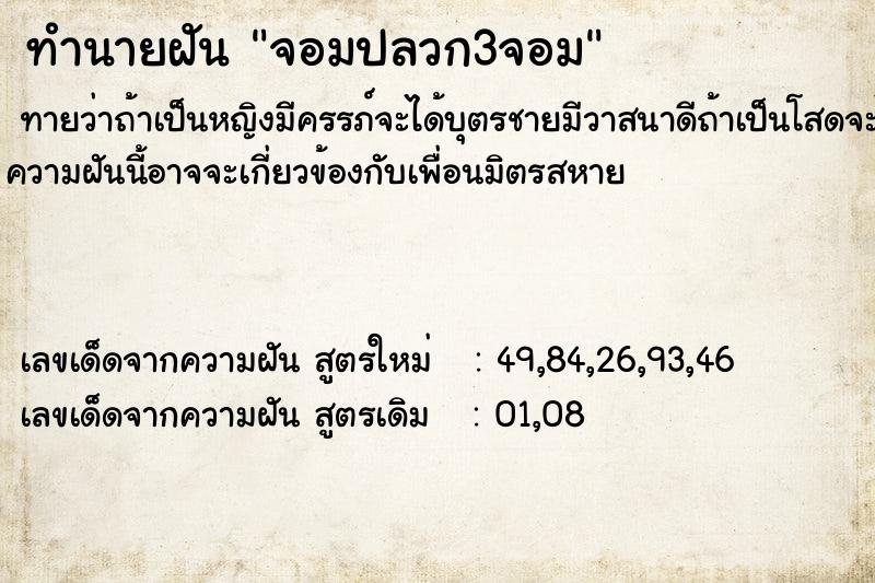 ทำนายฝันจอมปลวก3จอม ทำนายฝันทำนายฝันจอมปลวก3จอม