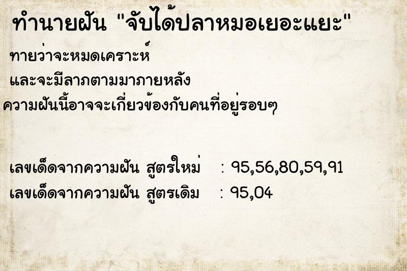 ทำนายฝันจับได้ปลาหมอเยอะแยะ ทำนายฝันทำนายฝันจับได้ปลาหมอเยอะแยะ