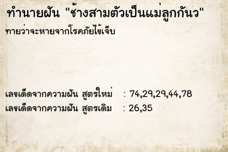 ทำนายฝันทำนายฝันช้างสามตัวเป็นแม่ลูกกันว
