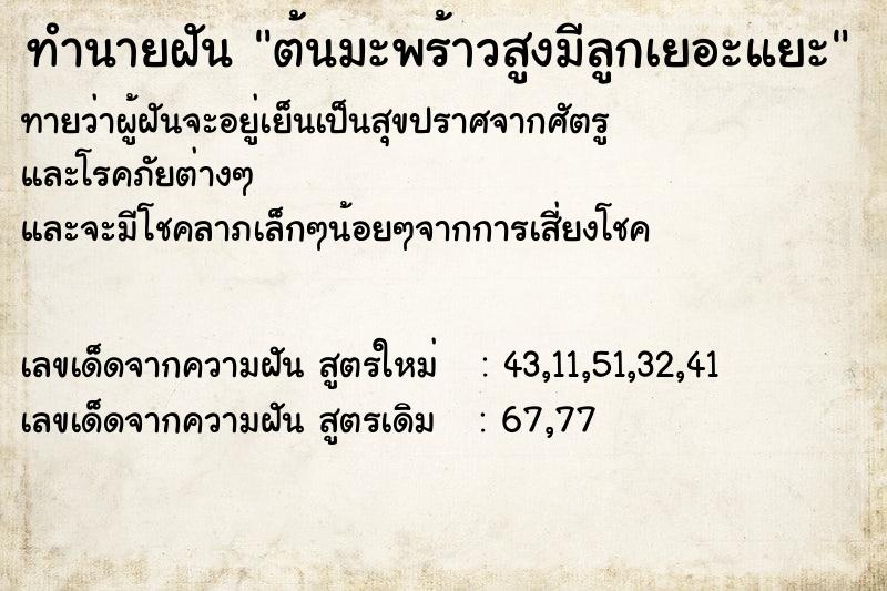 ทำนายฝันต้นมะพร้าวสูงมีลูกเยอะแยะ ทำนายฝันทำนายฝันต้นมะพร้าวสูงมีลูกเยอะแยะ